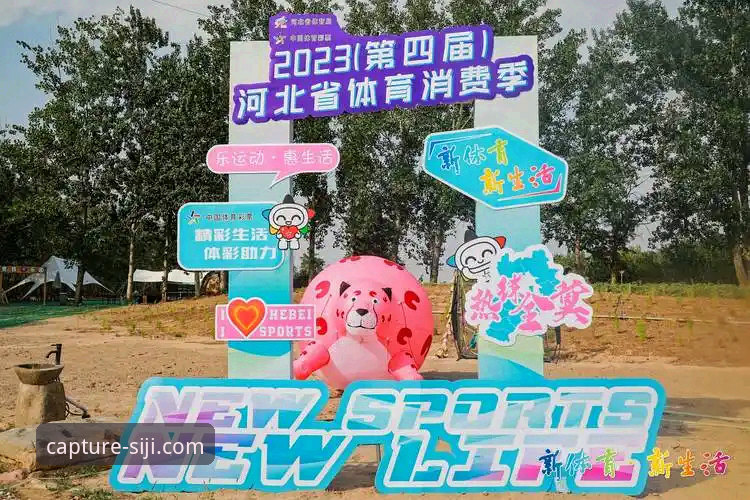 四季体育平台（四季官方网站）完整使用指南：从下载到精通